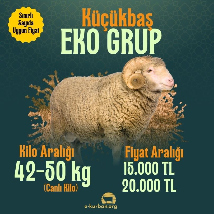 Ekonomik Küçükbaş Kurban Fiyatları 2025